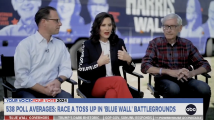 'Look at the Polls': ABC's Martha Raddatz Presses Trio of Dem Governors on Cracks in Its 'Guaranteed Blue Wall' in Trump Era